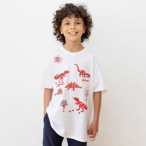 Dinosaur T-shirt Painting Kit